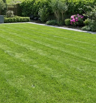 Landscaping project detail