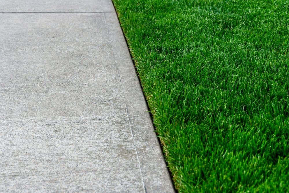 Clean garden edges