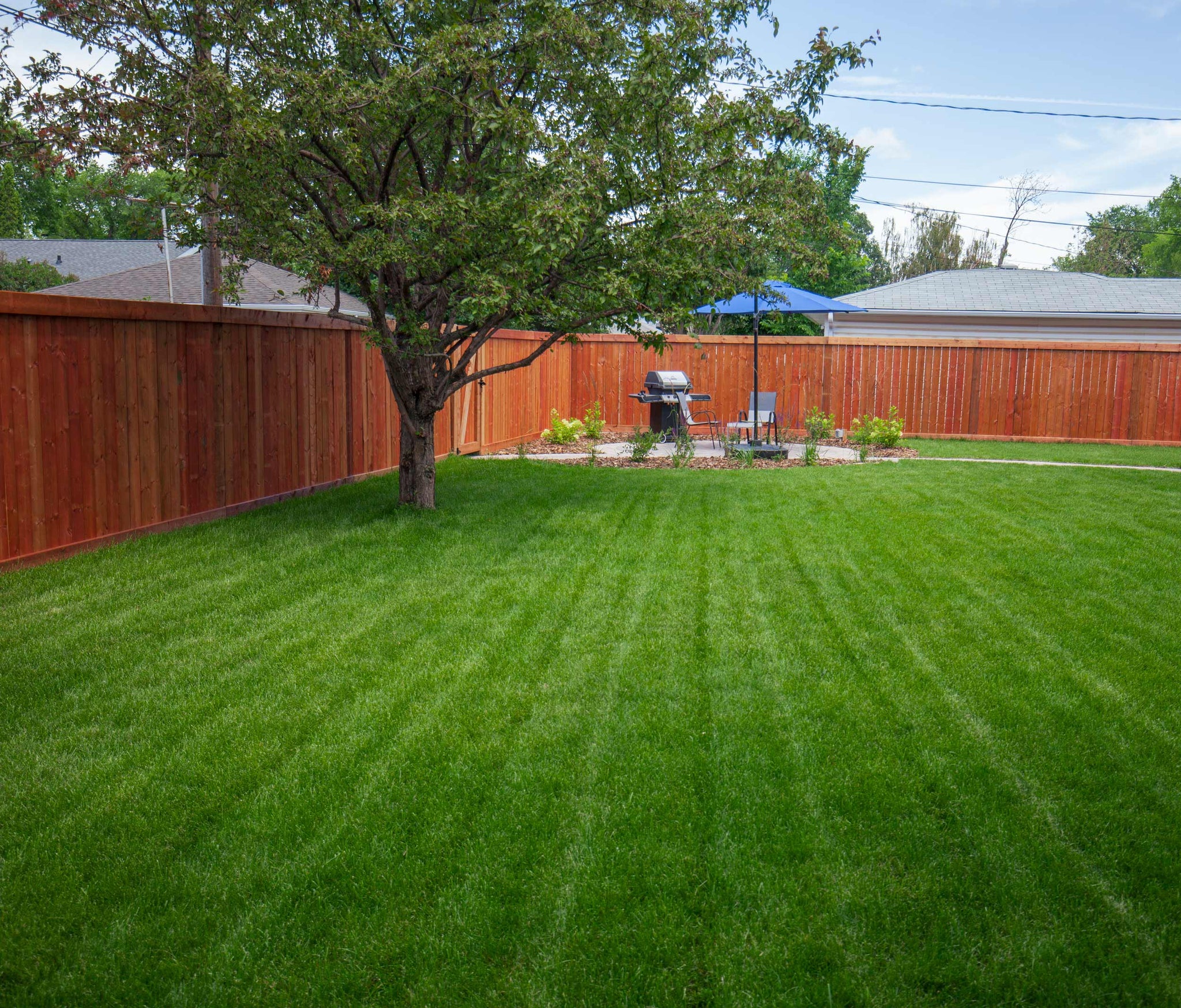 Tidy yard after seasonal cleanup