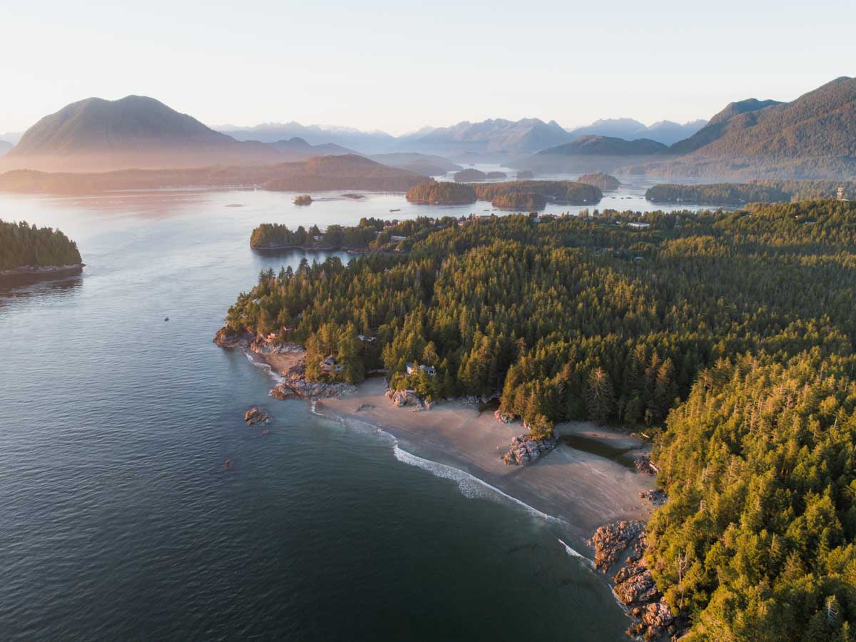 Founder [Fictional Name] or local Tofino/Ucluelet scenery